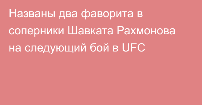 Названы два фаворита в соперники Шавката Рахмонова на следующий бой в UFC