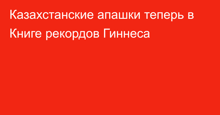 Казахстанские апашки теперь в Книге рекордов Гиннеса