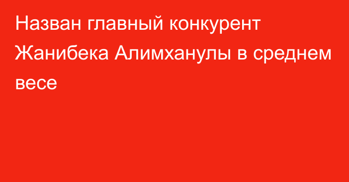 Назван главный конкурент Жанибека Алимханулы в среднем весе