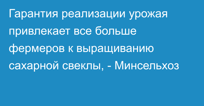 Гарантия реализации урожая привлекает все больше фермеров к выращиванию сахарной свеклы, - Минсельхоз