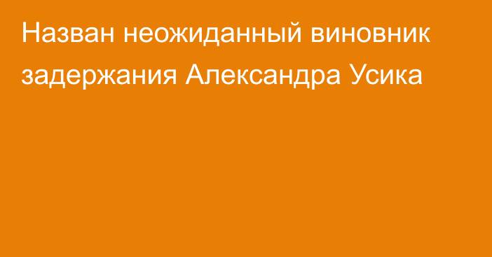 Назван неожиданный виновник задержания Александра Усика