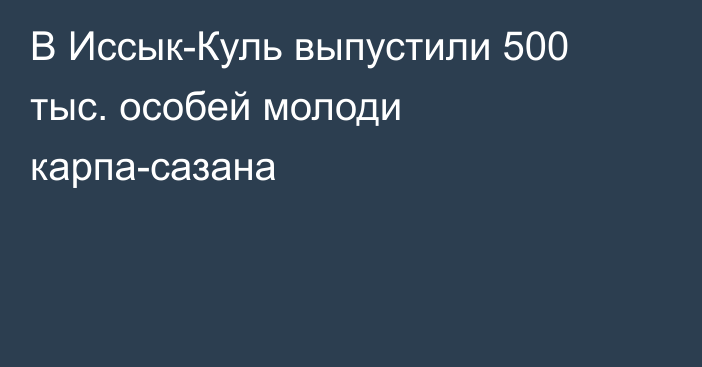 В Иссык-Куль выпустили 500 тыс. особей молоди карпа-сазана