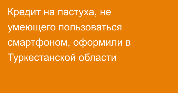 Кредит на пастуха, не умеющего пользоваться смартфоном, оформили в Туркестанской области