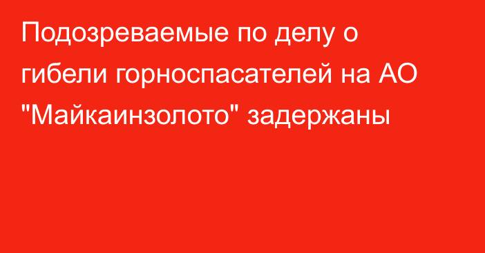 Подозреваемые по делу о гибели горноспасателей на АО 