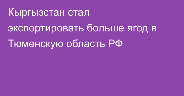 Кыргызстан стал экспортировать больше ягод в Тюменскую область РФ