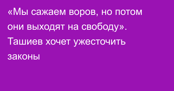 «Мы сажаем воров, но потом они выходят на свободу». Ташиев хочет ужесточить законы