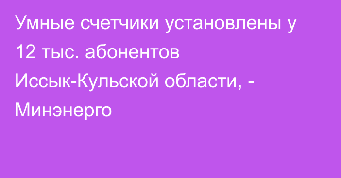 Умные счетчики установлены у 12 тыс. абонентов Иссык-Кульской области, - Минэнерго