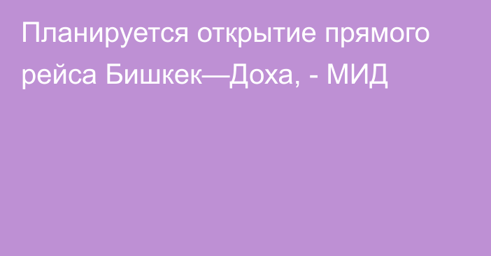 Планируется открытие прямого рейса Бишкек—Доха, - МИД