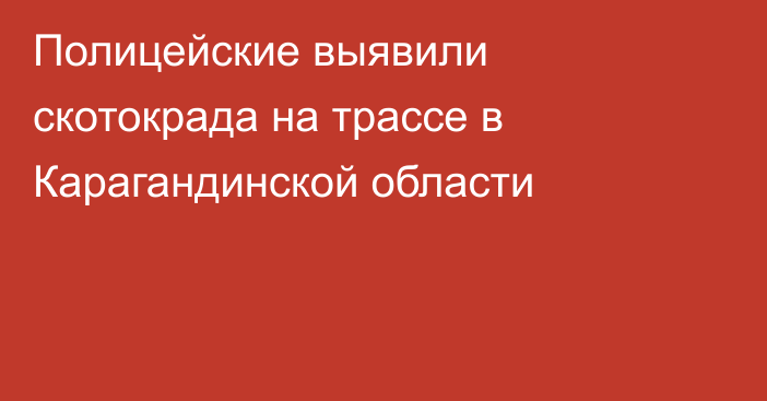 Полицейские выявили скотокрада на трассе в Карагандинской области