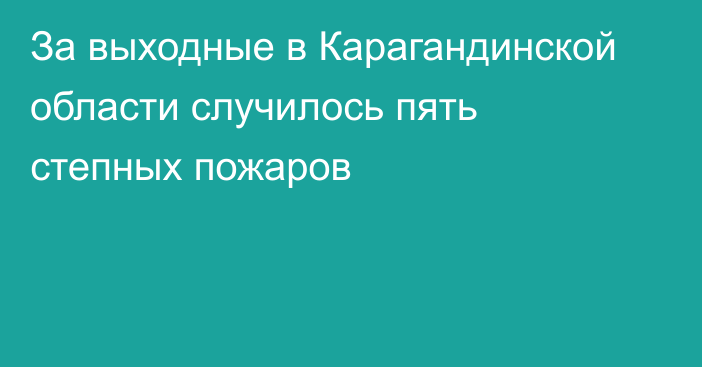 За выходные в Карагандинской области случилось пять степных пожаров