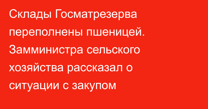 Склады Госматрезерва переполнены пшеницей. Замминистра сельского хозяйства рассказал о ситуации с закупом