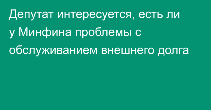 Депутат интересуется, есть ли у Минфина проблемы с обслуживанием внешнего долга 