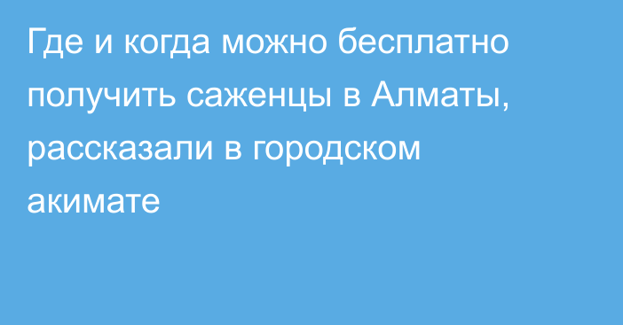 Где и когда можно бесплатно получить саженцы в Алматы, рассказали в городском акимате