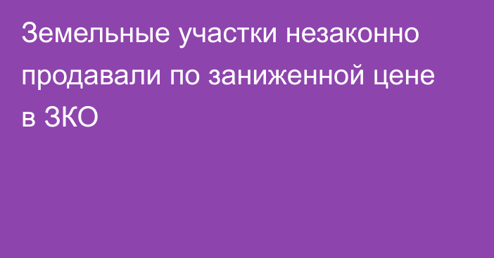 Земельные участки незаконно продавали по заниженной цене в ЗКО