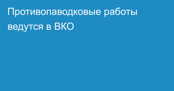 Противопаводковые работы ведутся в ВКО