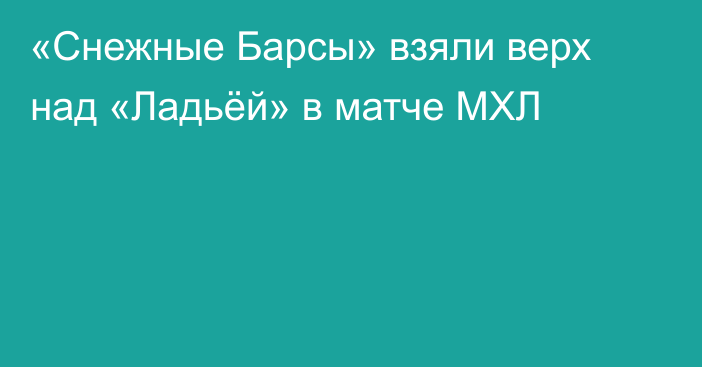 «Снежные Барсы» взяли верх над «Ладьёй» в матче МХЛ