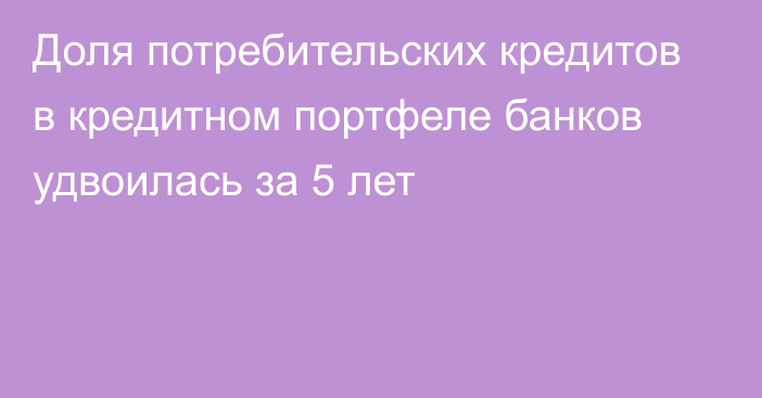 Доля потребительских кредитов в кредитном портфеле банков удвоилась за 5 лет