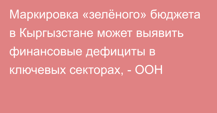 Маркировка «зелёного» бюджета в Кыргызстане может выявить финансовые дефициты в ключевых секторах, - ООН