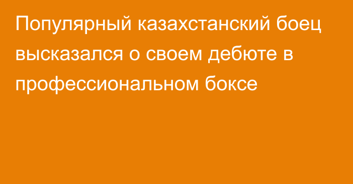 Популярный казахстанский боец высказался о своем дебюте в профессиональном боксе