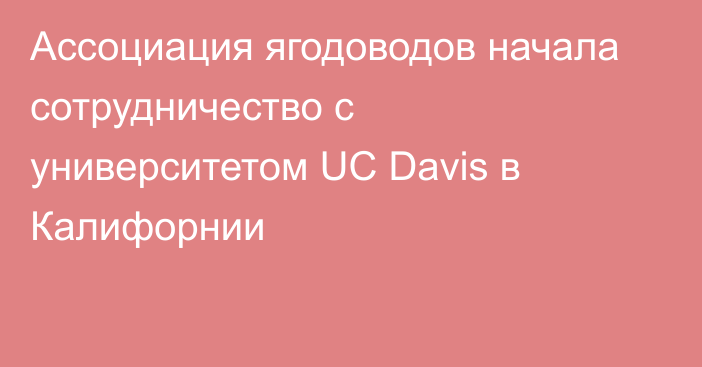 Ассоциация ягодоводов начала сотрудничество с университетом UC Davis в Калифорнии