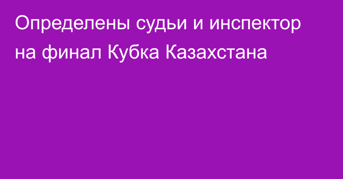 Определены судьи и инспектор на финал Кубка Казахстана