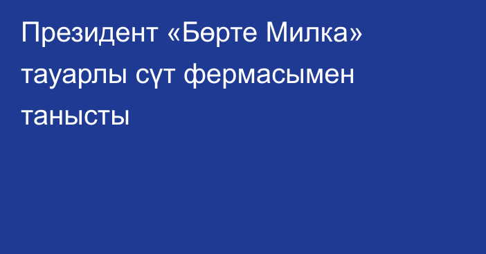 Президент «Бөрте Милка» тауарлы сүт фермасымен танысты