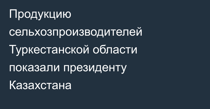 Продукцию сельхозпроизводителей Туркестанской области показали президенту Казахстана