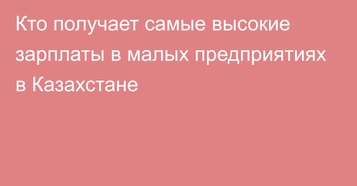 Кто получает самые высокие зарплаты в малых предприятиях в Казахстане