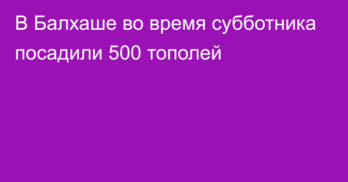 В Балхаше во время субботника посадили 500 тополей