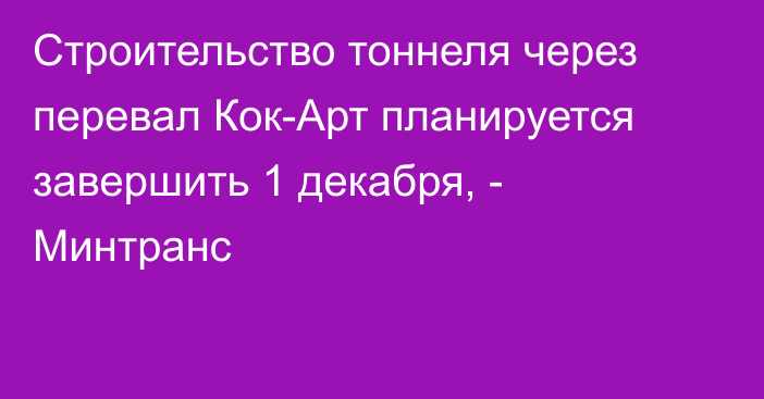 Строительство тоннеля через перевал Кок-Арт планируется завершить 1 декабря, - Минтранс 