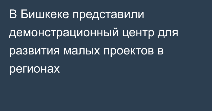 В Бишкеке представили демонстрационный центр для развития малых проектов в регионах