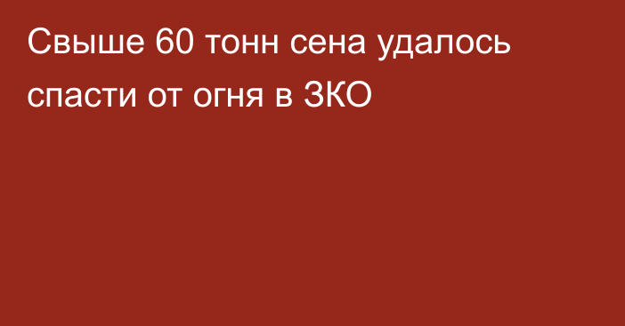 Свыше 60 тонн сена удалось спасти от огня в ЗКО