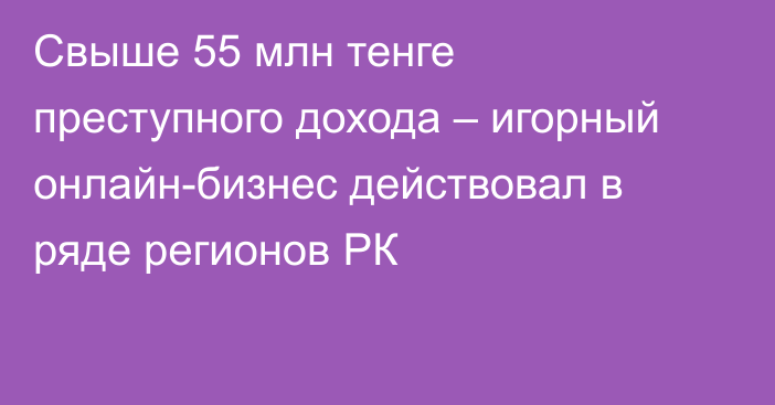 Свыше 55 млн тенге преступного дохода – игорный онлайн-бизнес действовал в ряде регионов РК