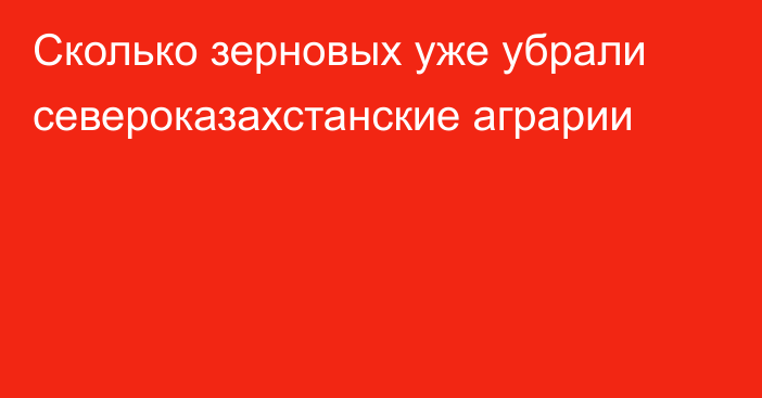 Сколько зерновых уже убрали североказахстанские аграрии