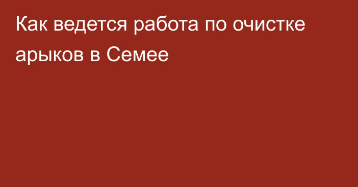 Как ведется работа по очистке арыков в Семее