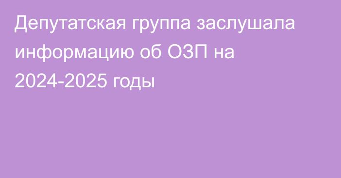 Депутатская группа заслушала информацию об ОЗП на 2024-2025 годы