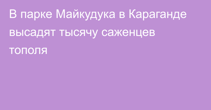 В парке Майкудука в Караганде высадят тысячу саженцев тополя