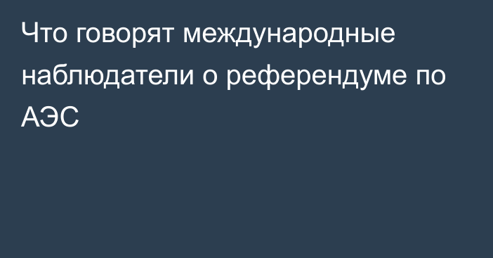 Что говорят международные наблюдатели о референдуме по АЭС