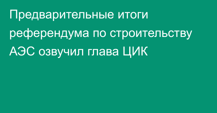 Предварительные итоги референдума по строительству АЭС озвучил глава ЦИК