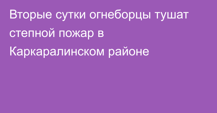 Вторые сутки огнеборцы тушат степной пожар в Каркаралинском районе