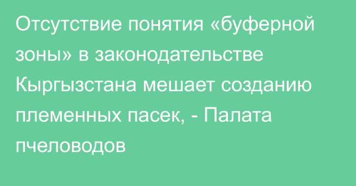 Отсутствие понятия «буферной зоны» в законодательстве Кыргызстана мешает созданию племенных пасек, - Палата пчеловодов