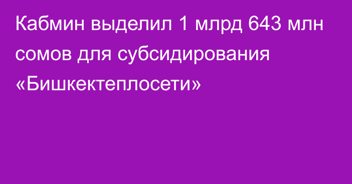 Кабмин выделил 1 млрд 643 млн сомов для субсидирования «Бишкектеплосети»