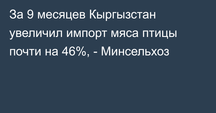 За 9 месяцев Кыргызстан увеличил импорт мяса птицы почти на 46%, - Минсельхоз 