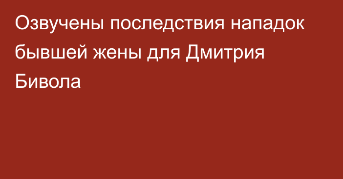 Озвучены последствия нападок бывшей жены для Дмитрия Бивола