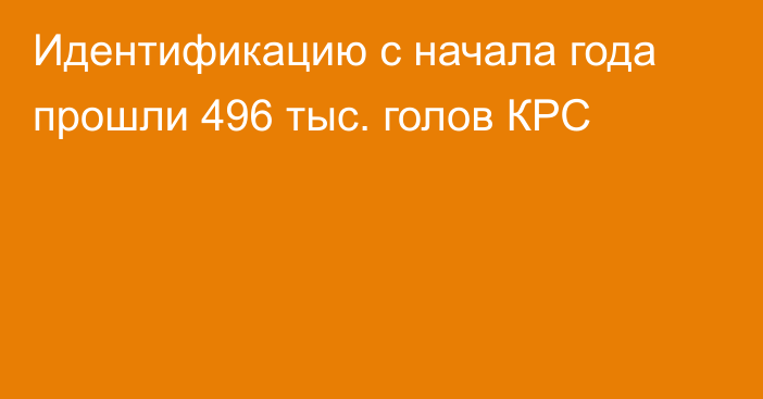 Идентификацию с начала года прошли 496 тыс. голов КРС