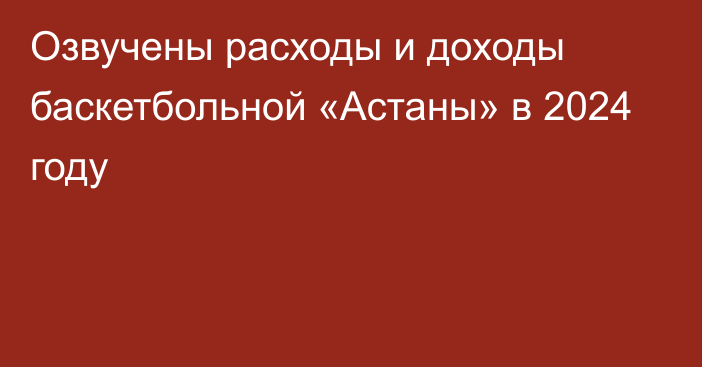 Озвучены расходы и доходы баскетбольной «Астаны» в 2024 году