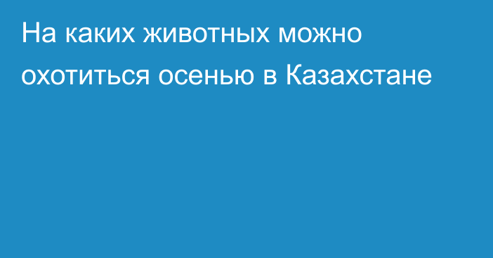 На каких животных можно охотиться осенью в Казахстане