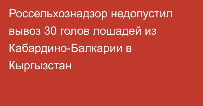 Россельхознадзор недопустил вывоз 30 голов лошадей из Кабардино-Балкарии в Кыргызстан