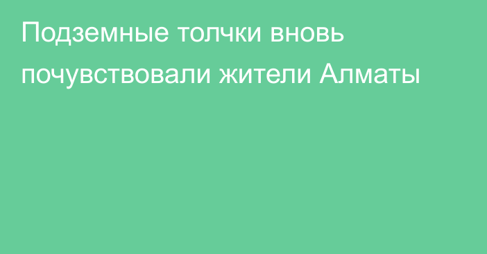 Подземные толчки вновь почувствовали жители Алматы