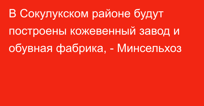 В Сокулукском районе будут построены кожевенный завод и обувная фабрика, - Минсельхоз